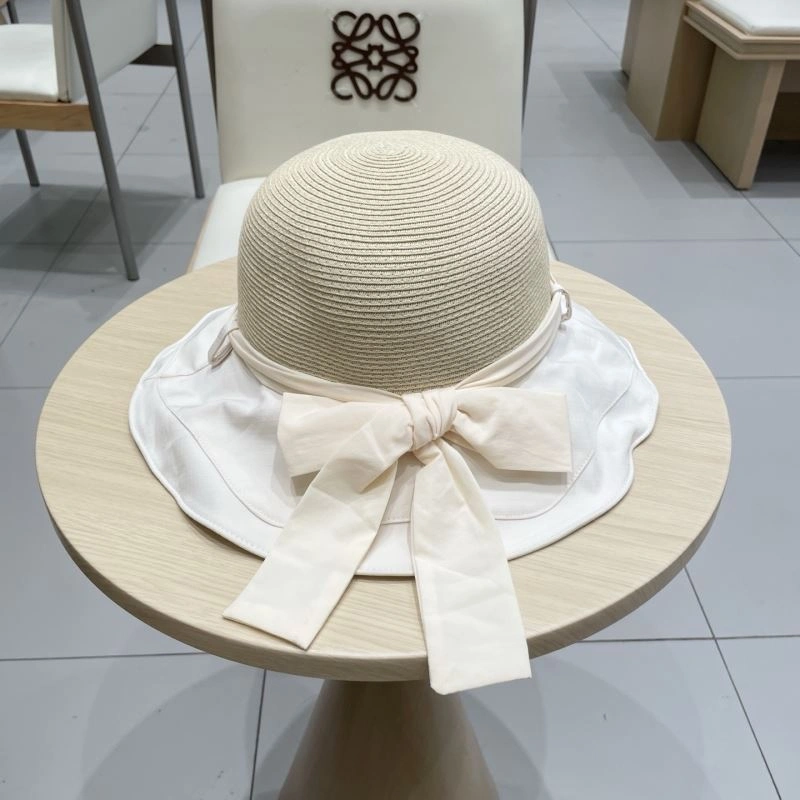HighQuality Christian Dior Caps 259357