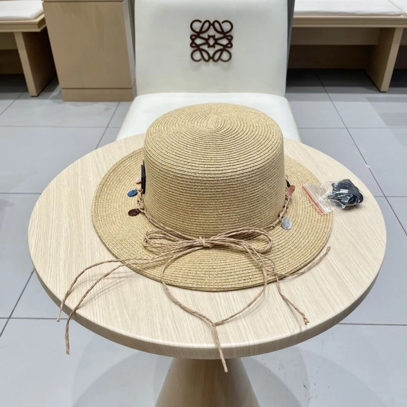 Christian Dior Caps GoAnywhere 262233