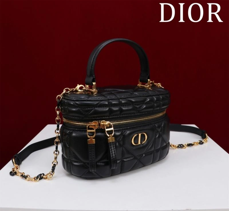 Christian Dior Cosmetic Bags Resilient 71202