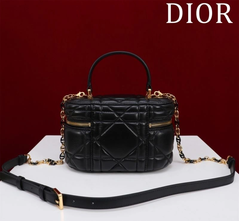 Christian Dior Cosmetic Bags Resilient 71202