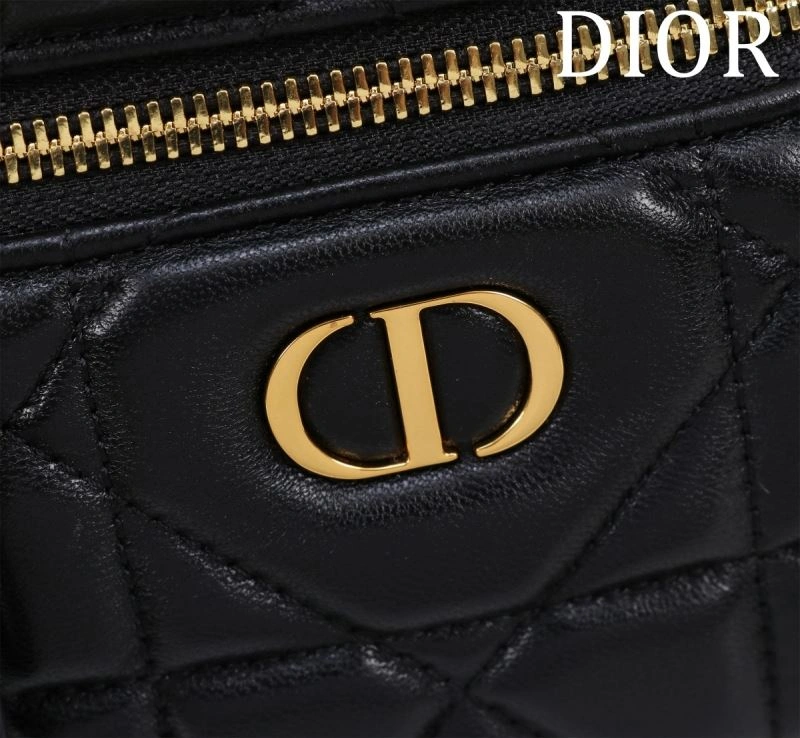 Christian Dior Cosmetic Bags Resilient 71202