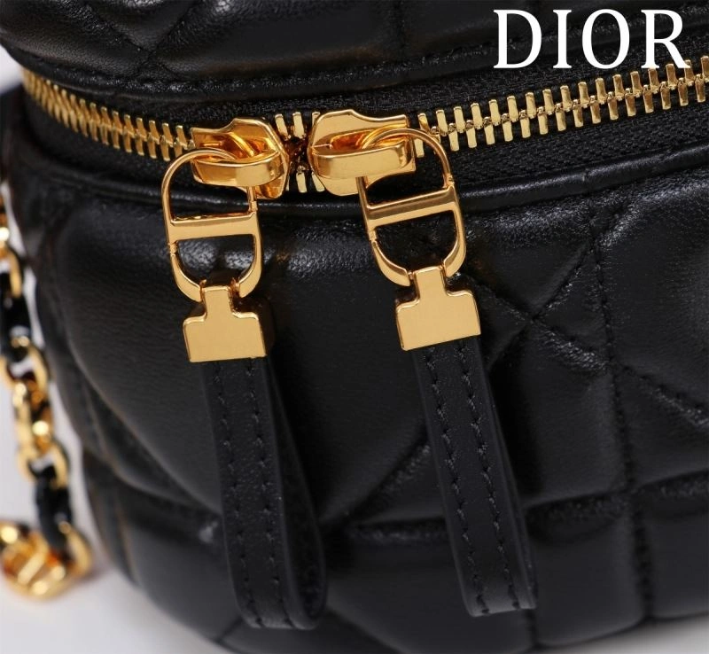 Christian Dior Cosmetic Bags Resilient 71202