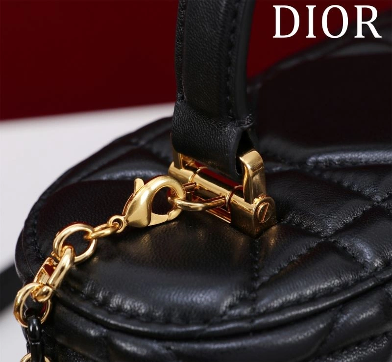 Christian Dior Cosmetic Bags Resilient 71202