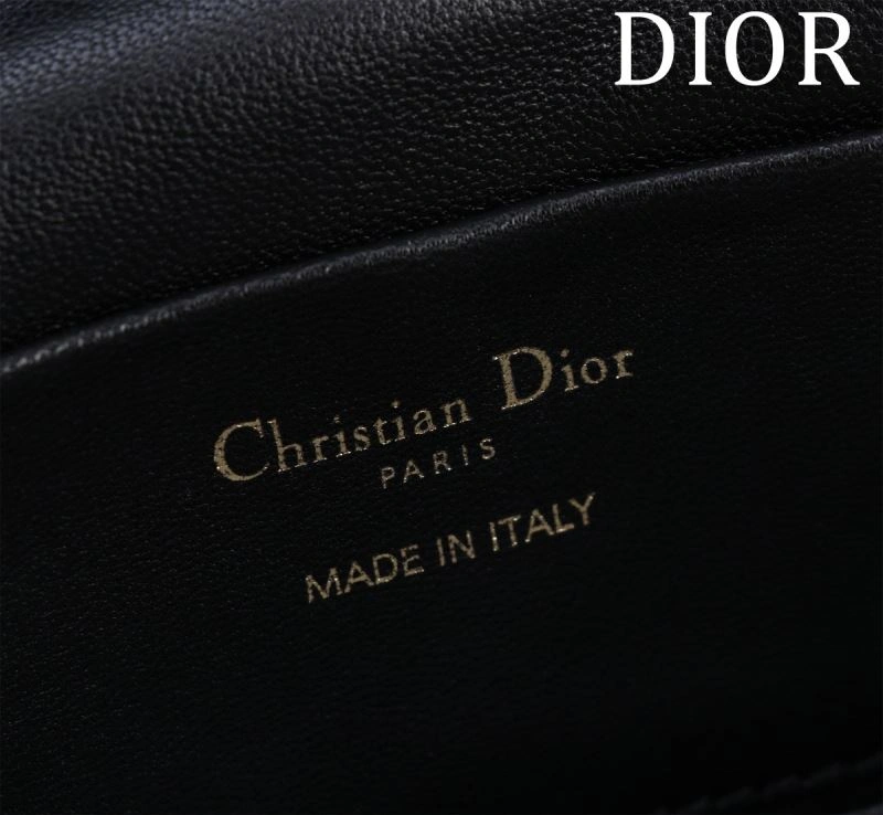 Christian Dior Cosmetic Bags Resilient 71202
