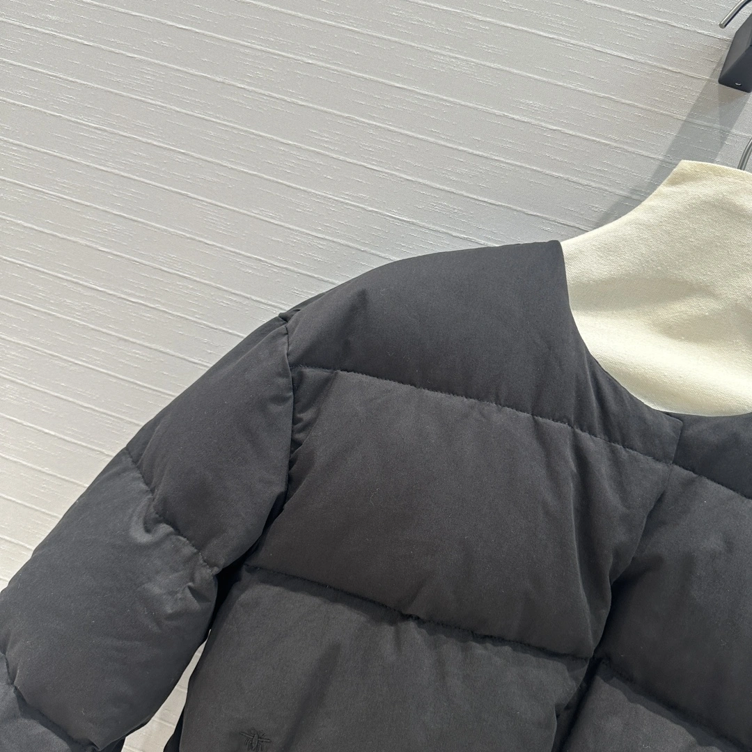 Christian Dior Down Jackets Trendsetting 118050