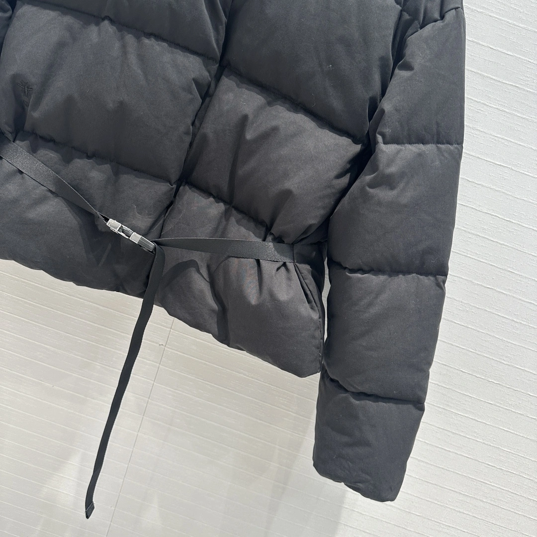 Christian Dior Down Jackets Trendsetting 118050