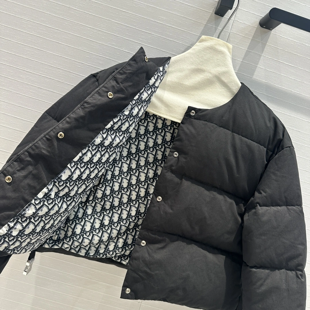 Christian Dior Down Jackets Trendsetting 118050
