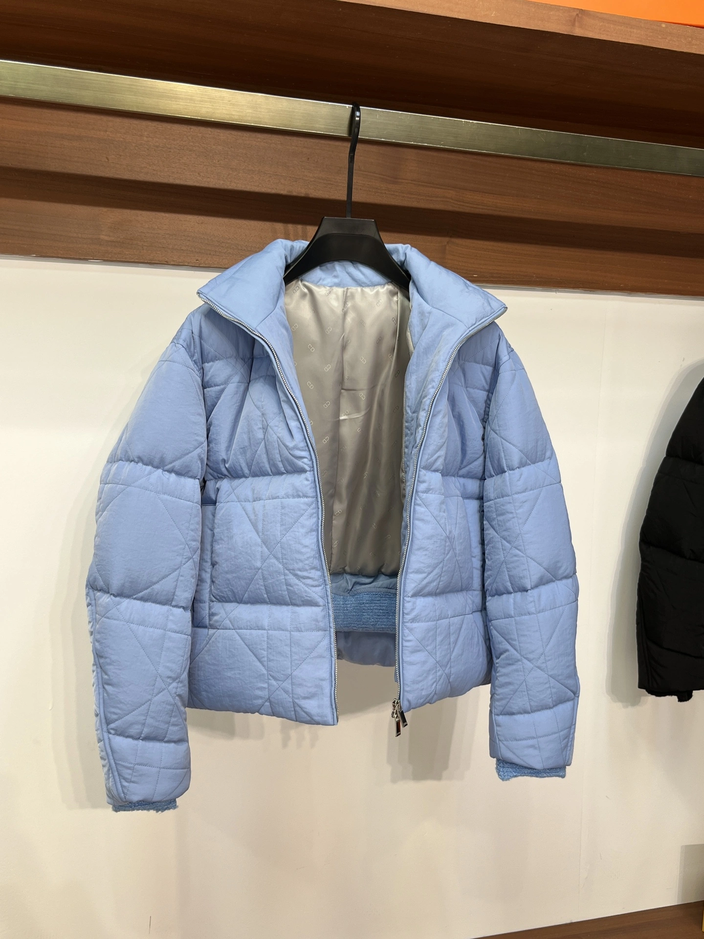 Christian Dior Down Jackets Timeless 118056