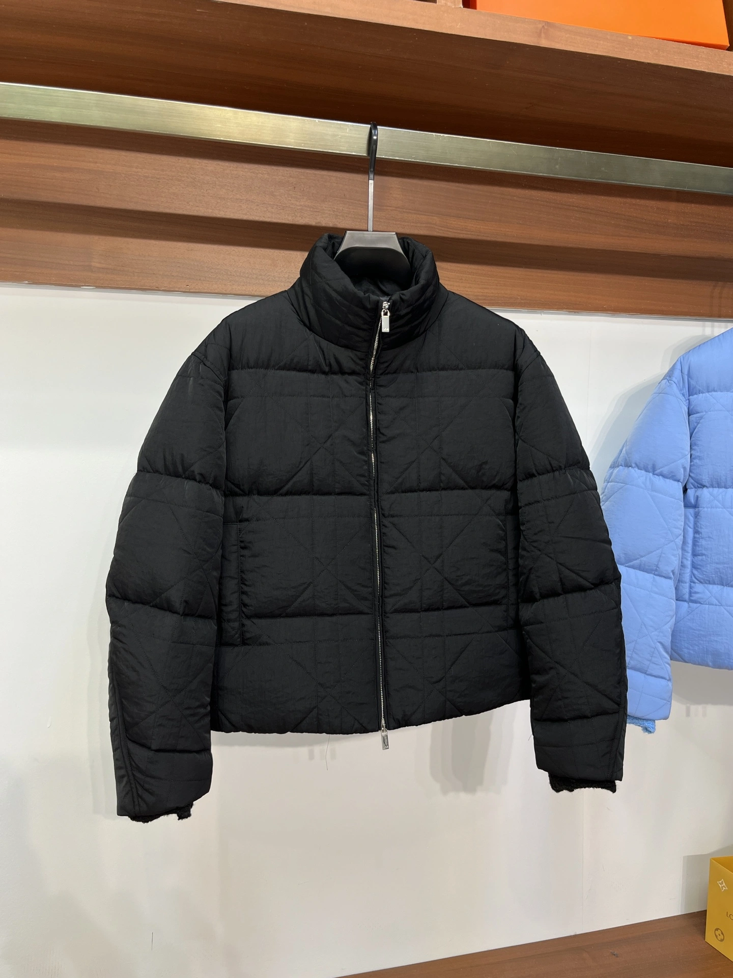 Christian Dior Down Jackets Timeless 118056