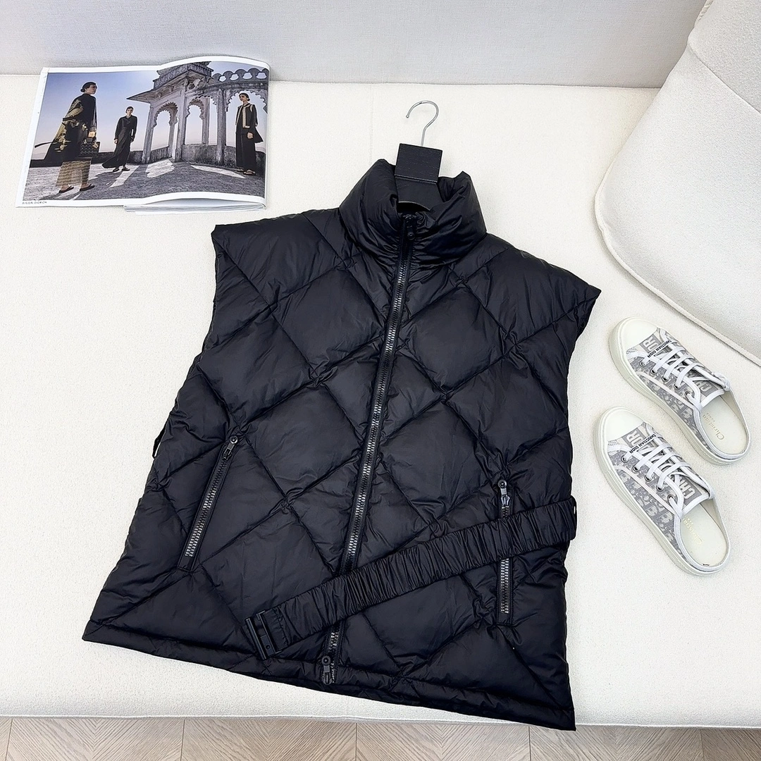 Christian Dior Down Jackets Trendsetting 118025