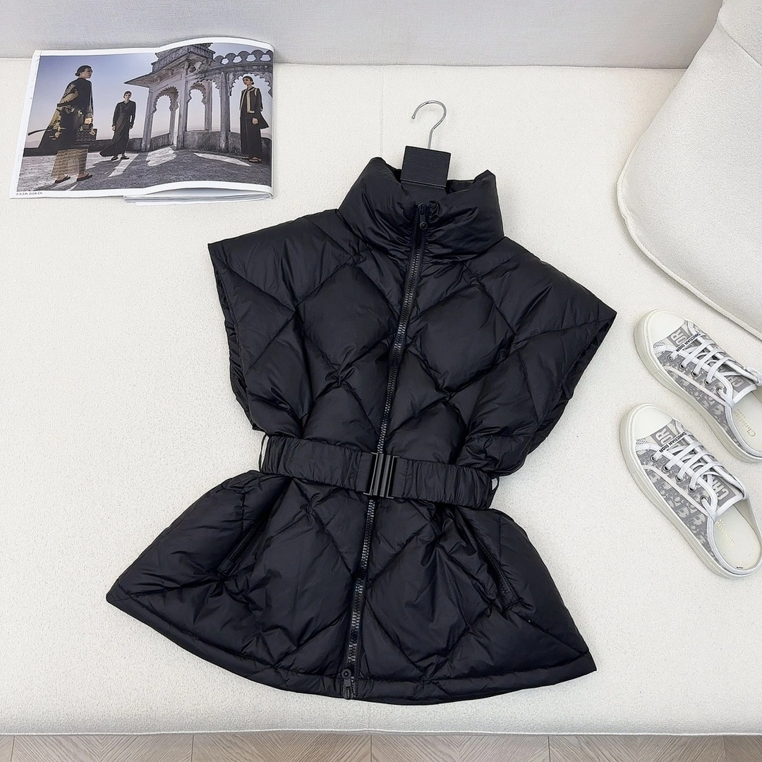 Christian Dior Down Jackets Trendsetting 118025