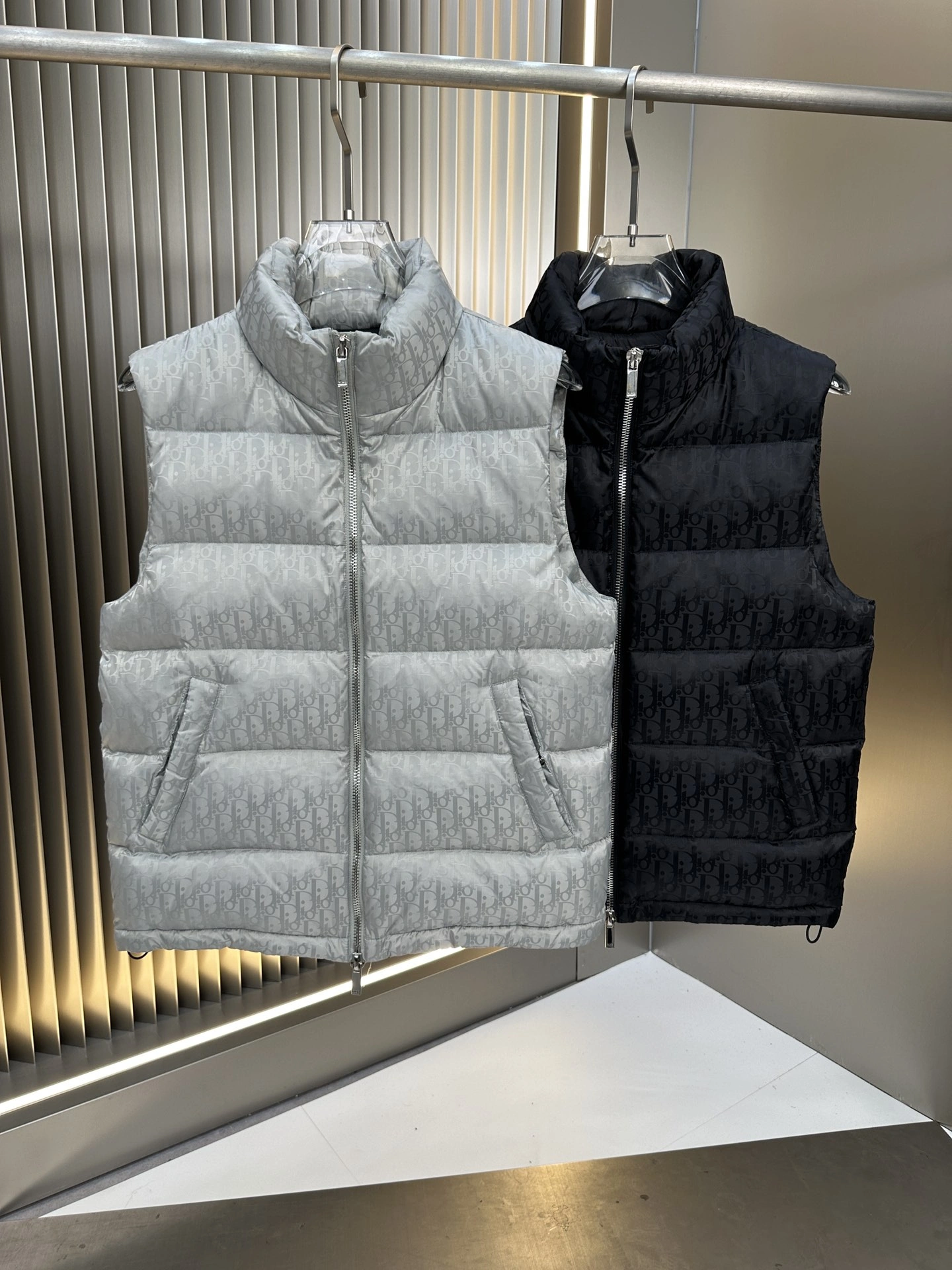 Christian Dior Down Jackets GoAnywhere 118011