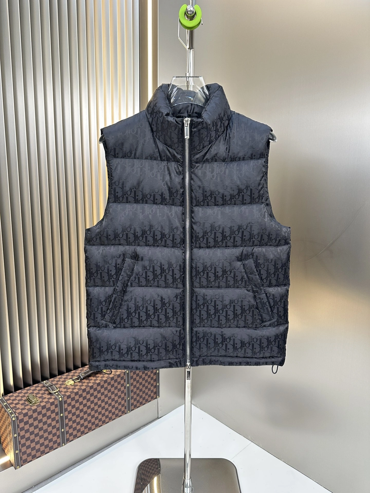 Christian Dior Down Jackets GoAnywhere 118011