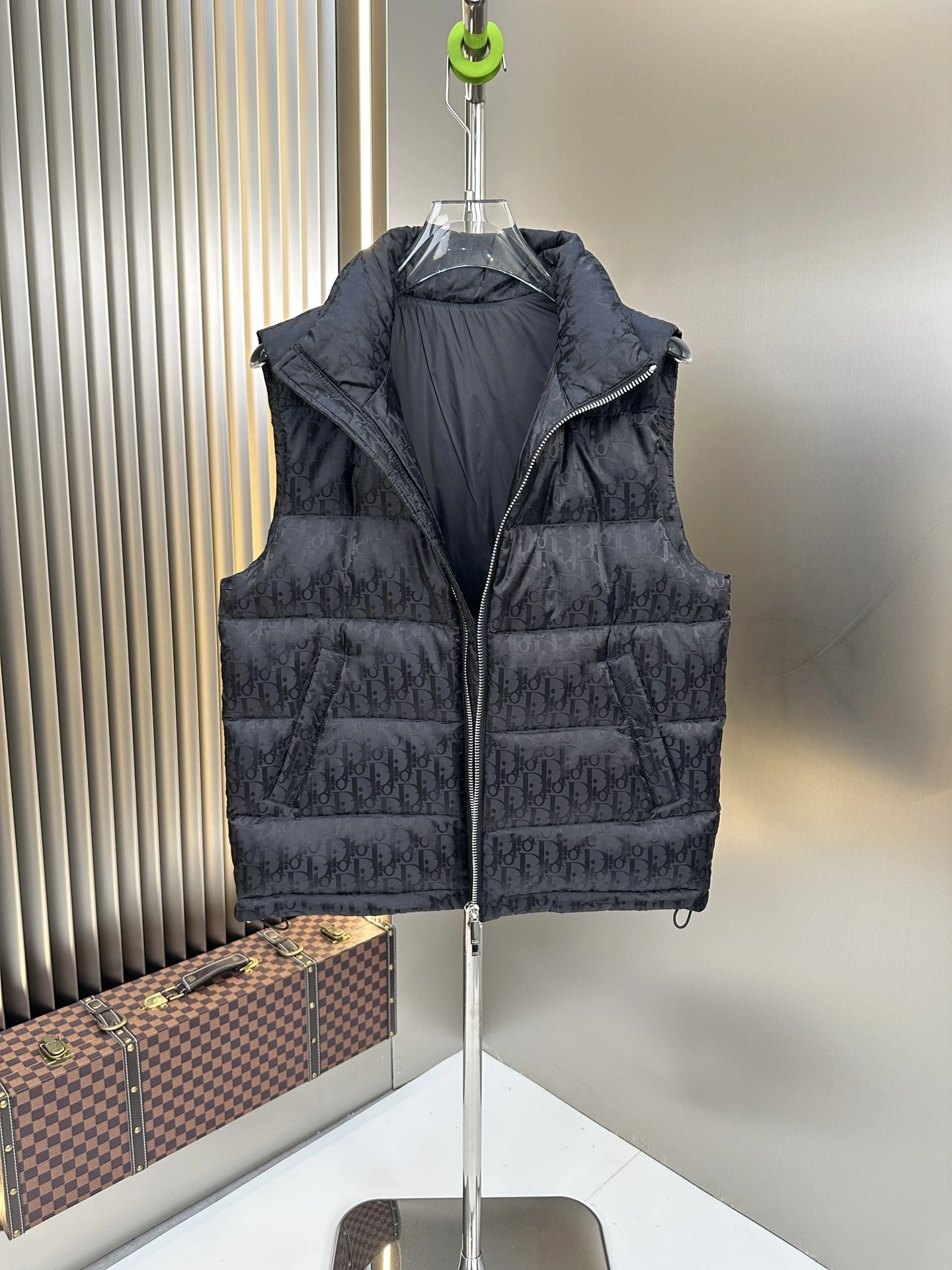 Christian Dior Down Jackets GoAnywhere 118011