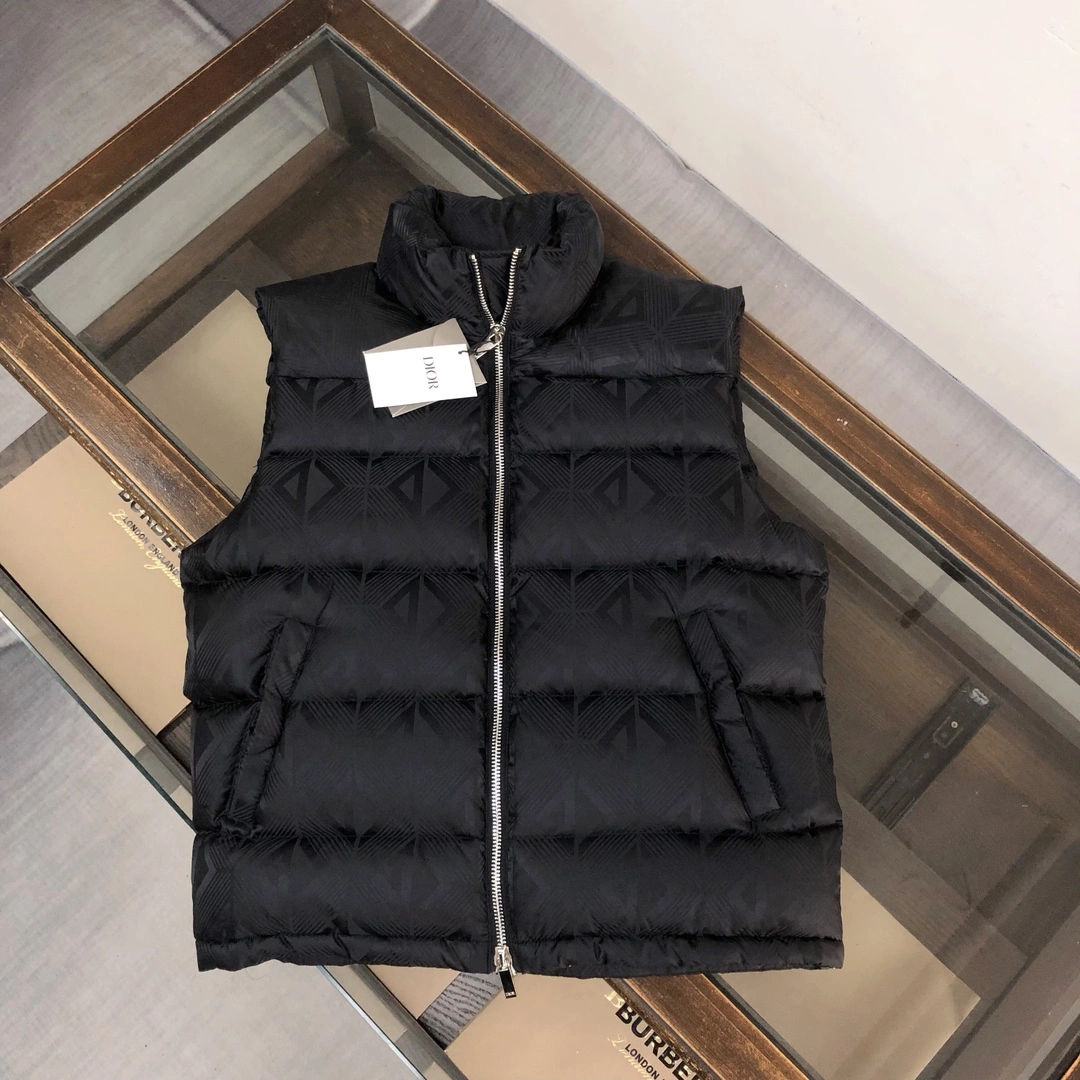 Christian Dior Down Jackets Lightweight 118016