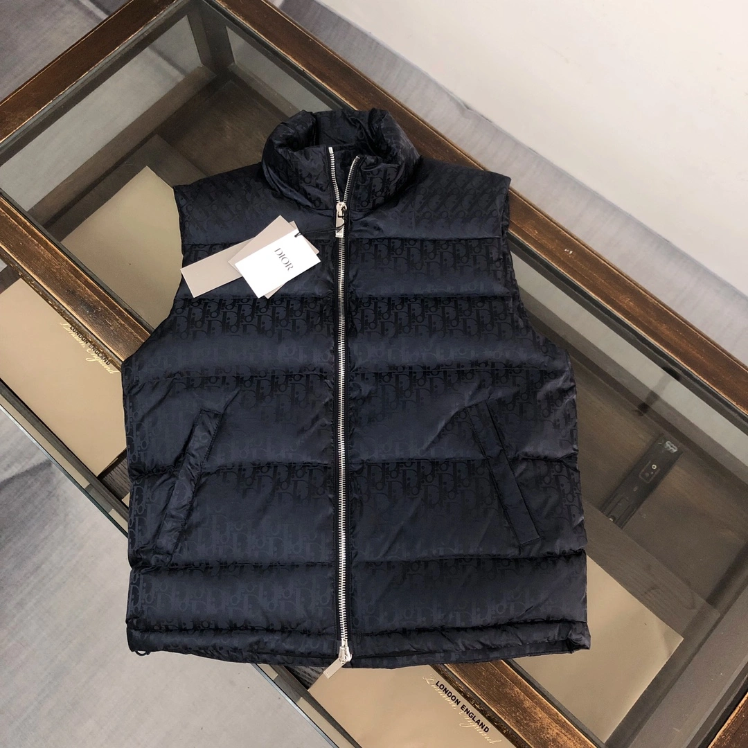 Practical Christian Dior Down Jackets 118000