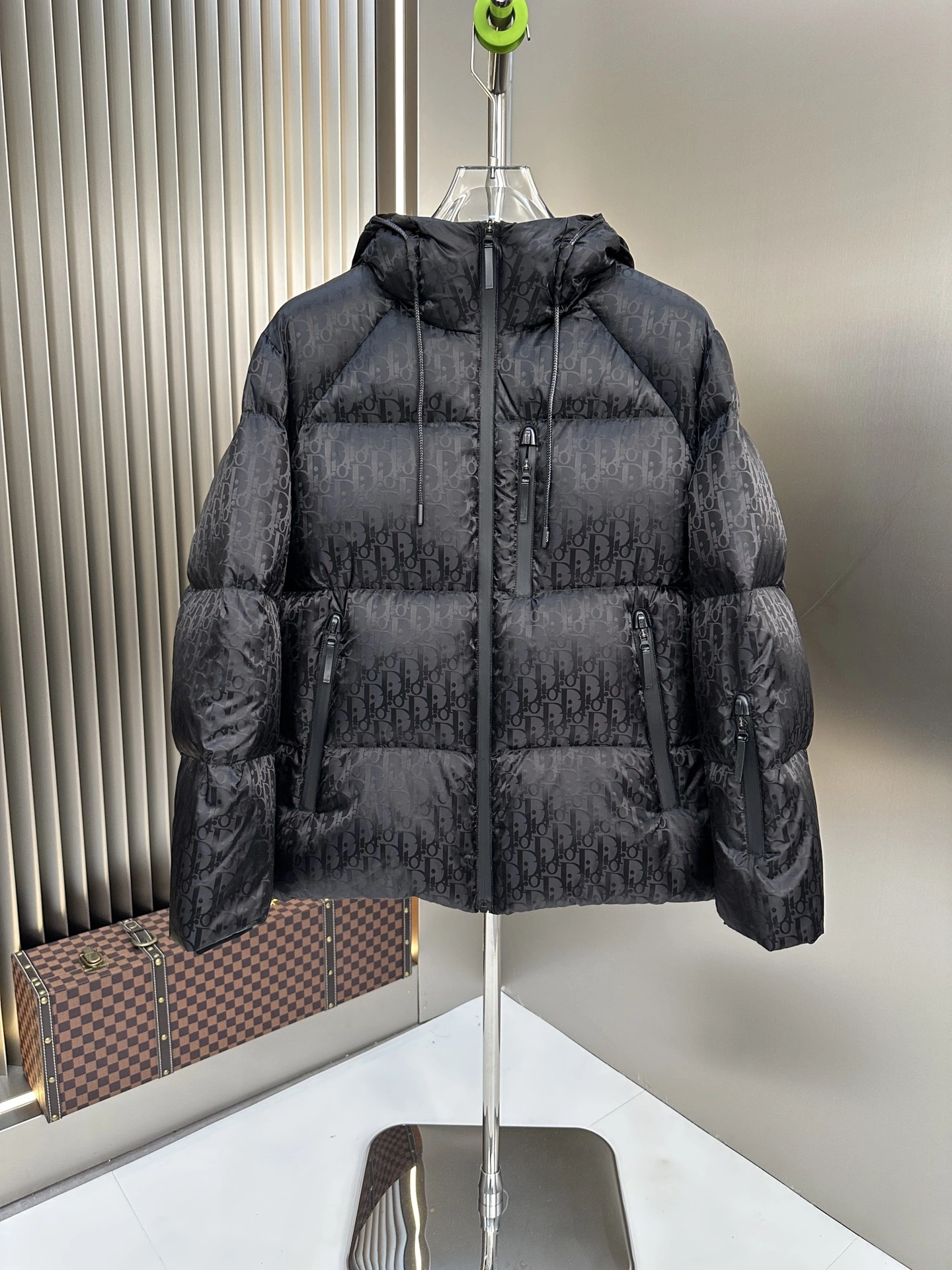 Christian Dior Down Jackets Timeless 118009