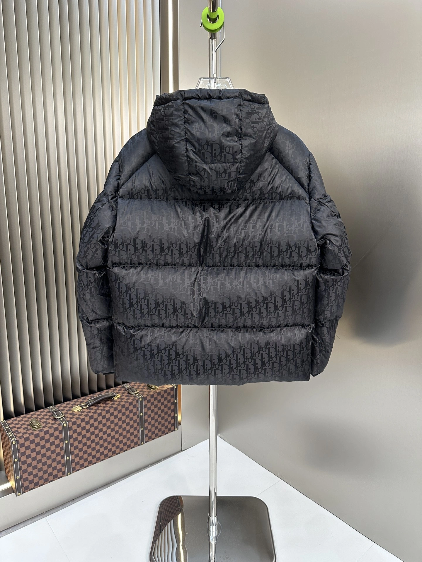 Christian Dior Down Jackets Timeless 118009