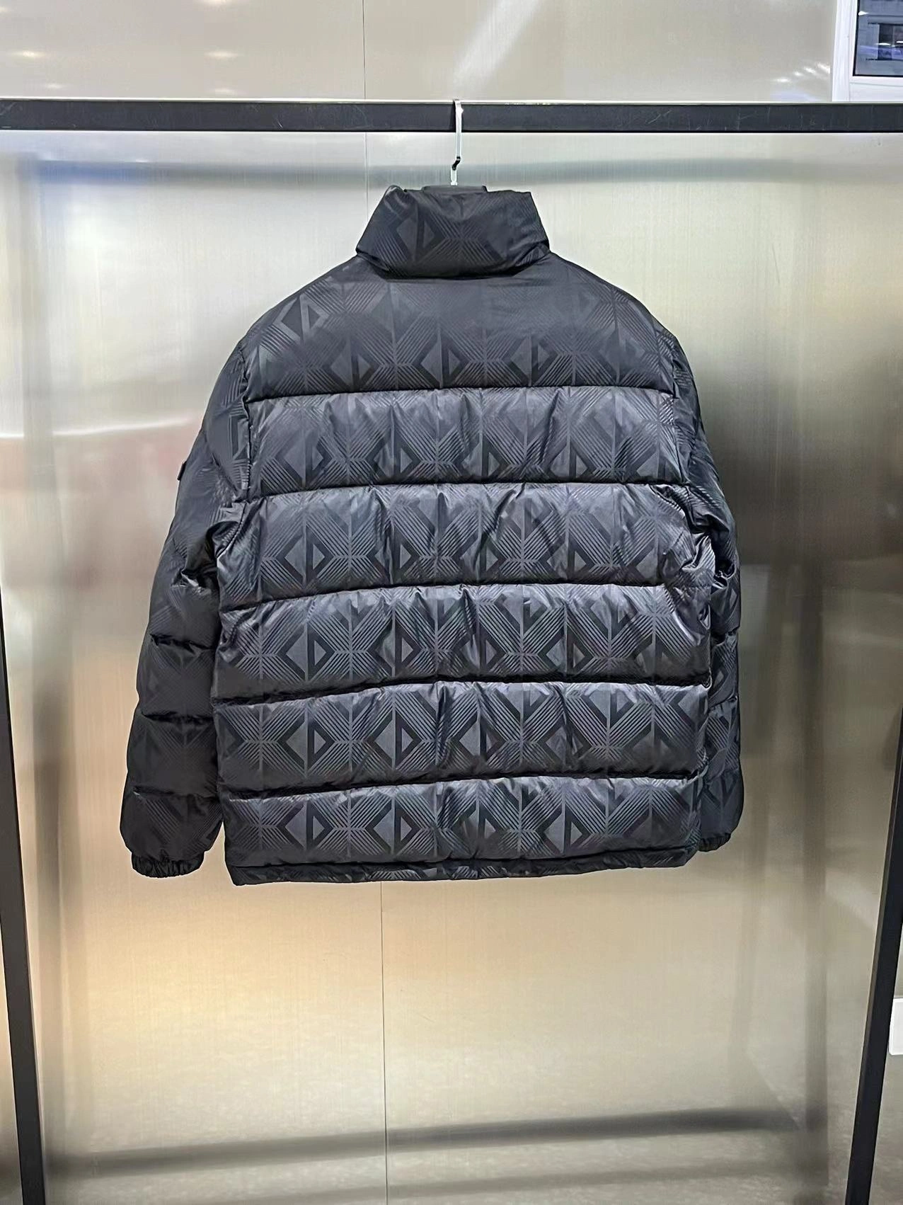 Christian Dior Down Jackets Unisex 118017