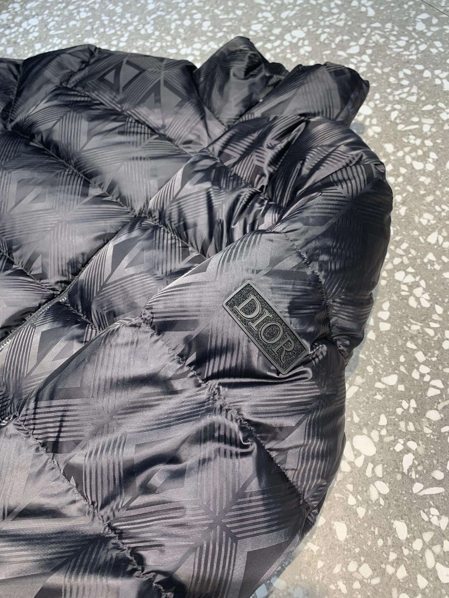 Christian Dior Down Jackets Unisex 118017