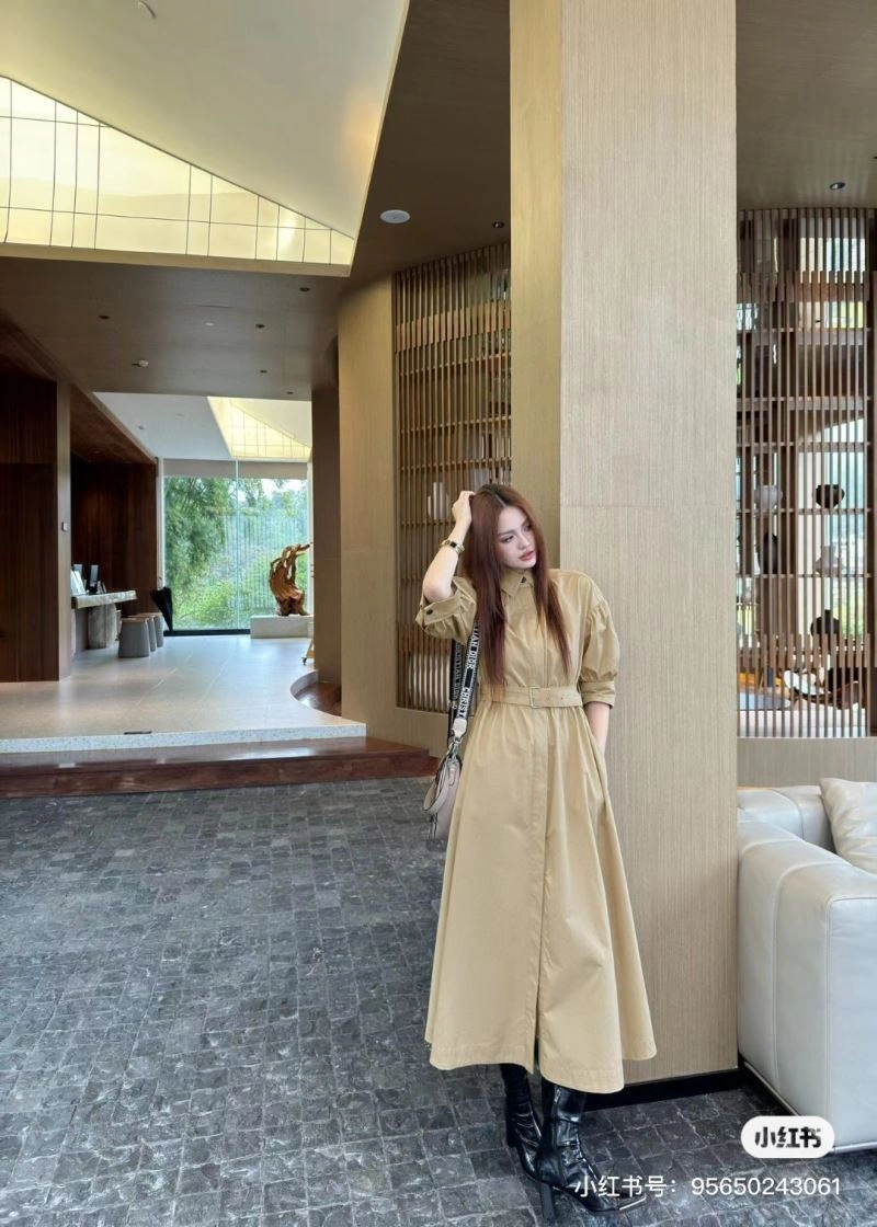 Christian Dior Dress Trendy 117619