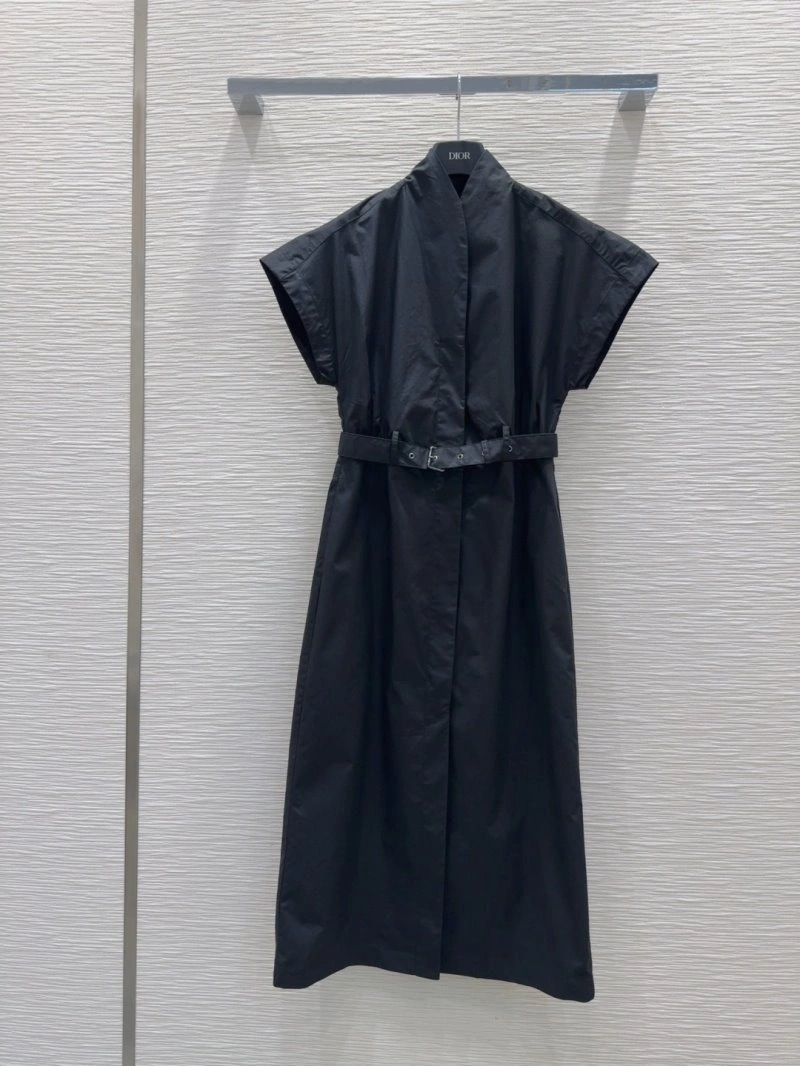 Christian Dior Dress Stylish 113111