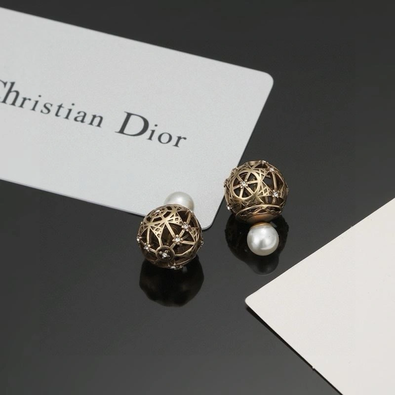 Resilient Christian Dior Earrings 236097