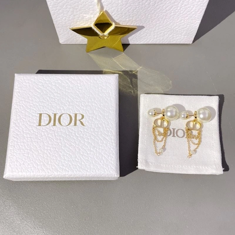 FastDry Christian Dior Earrings 236031