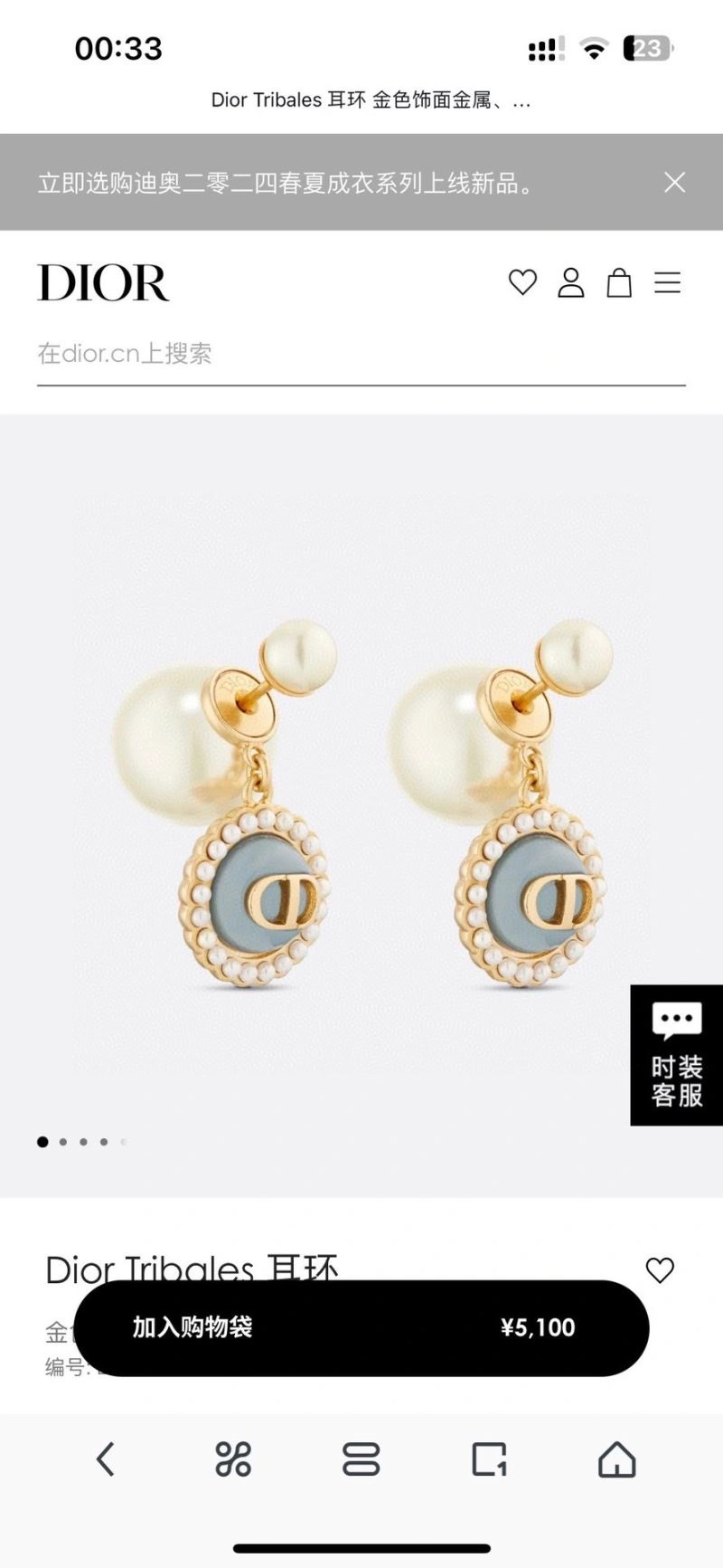 Christian Dior Earrings Stretchable 236091