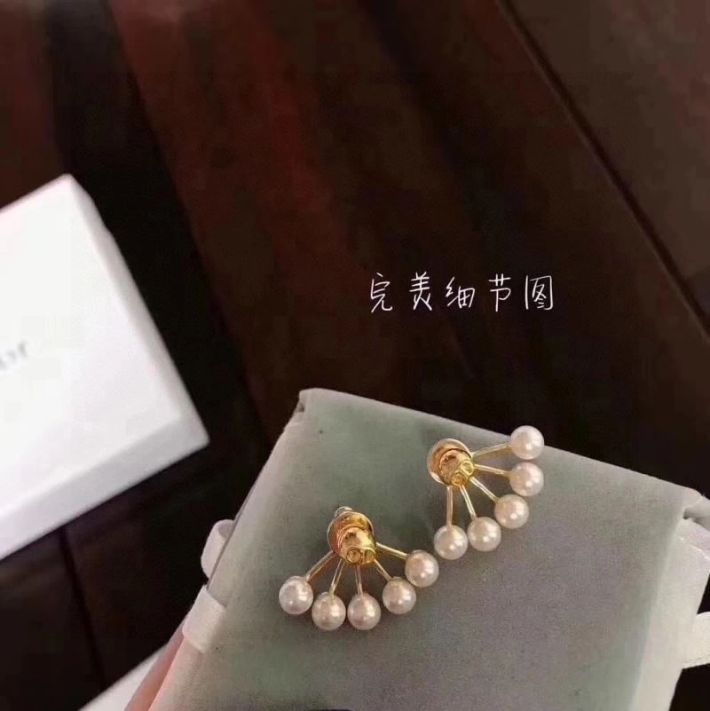 Christian Dior Earrings Reliable 236119