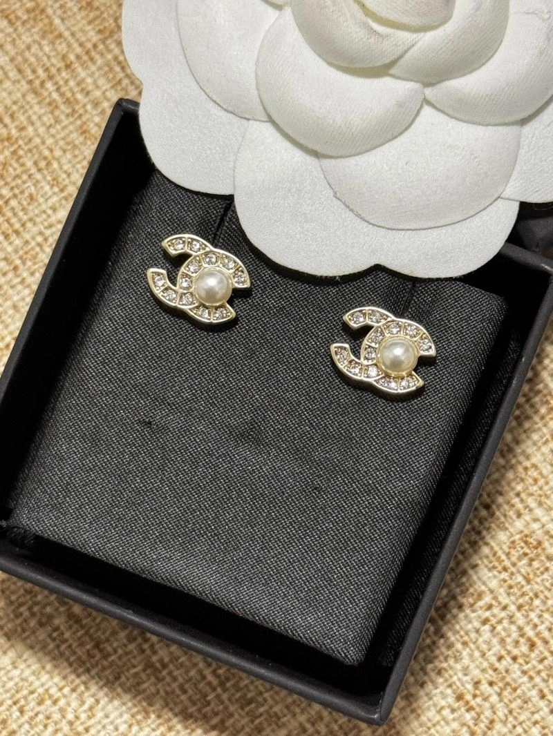 EasyCare Christian Dior Earrings 236074