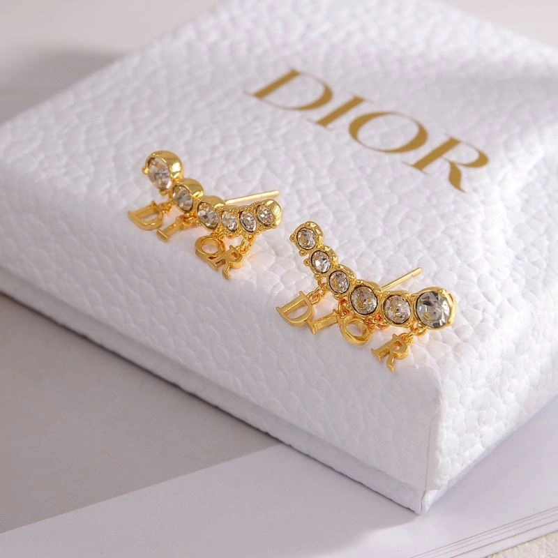 Durable Christian Dior Earrings 235989