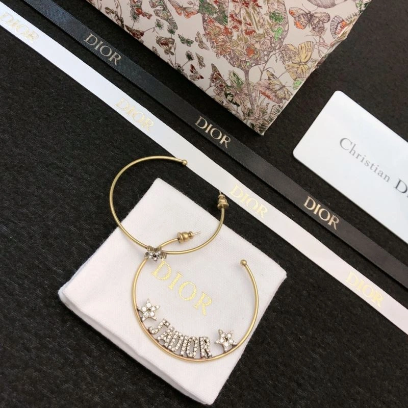 Practical Christian Dior Earrings 235981