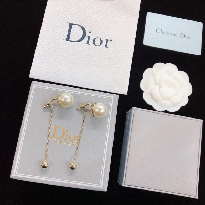 Christian Dior Earrings Affordable 235975