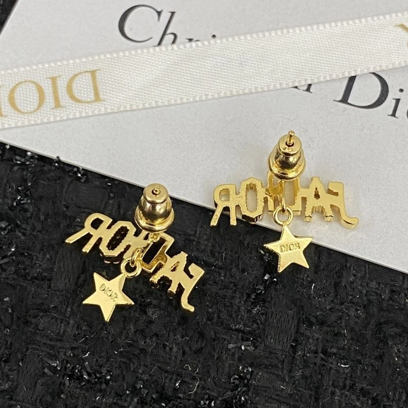MultiPurpose Christian Dior Earrings 235827