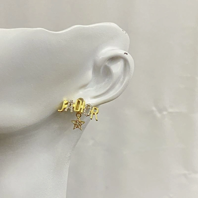 MultiPurpose Christian Dior Earrings 235827