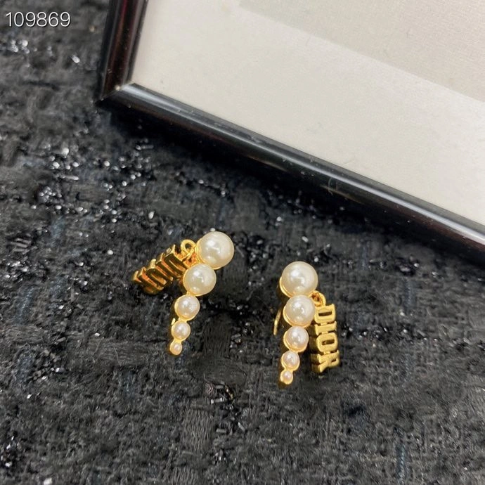 WaterResistant Christian Dior Earrings 235791