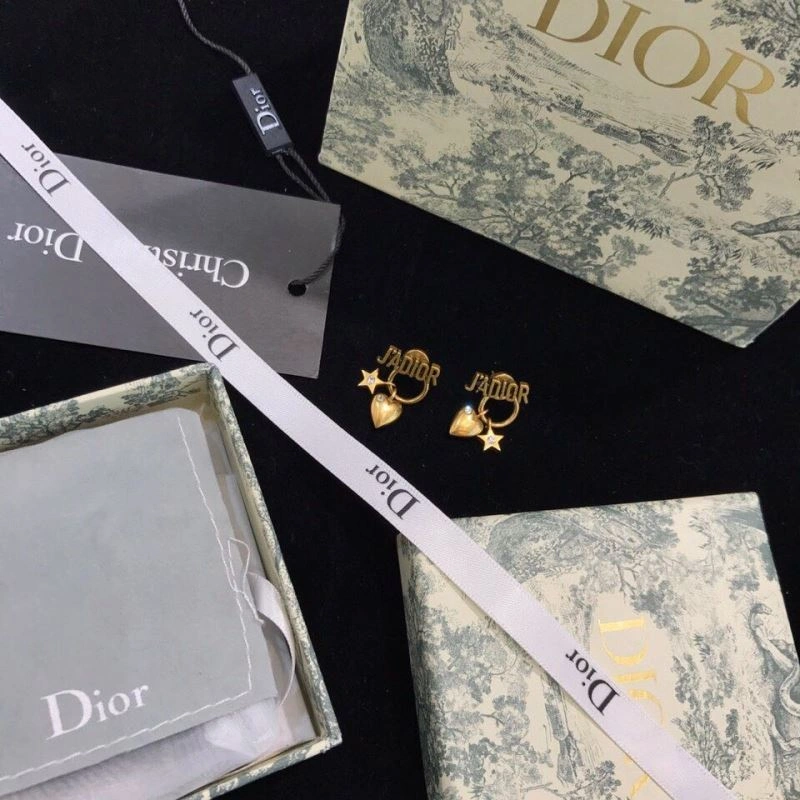 Compact Christian Dior Earrings 235773