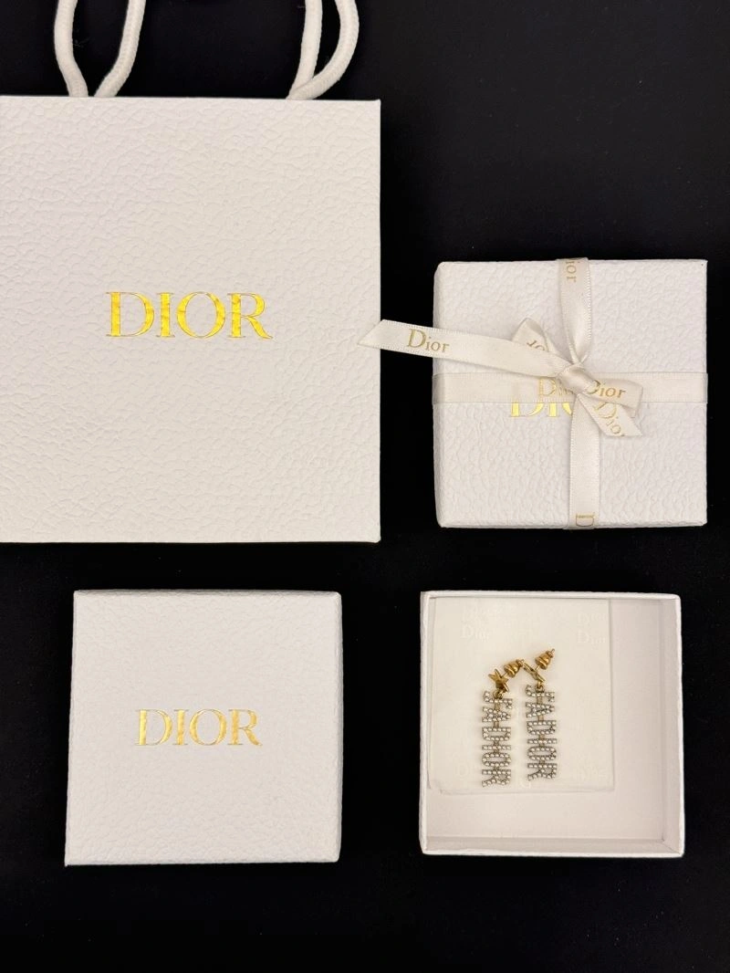 Christian Dior Earrings Sleek 236329