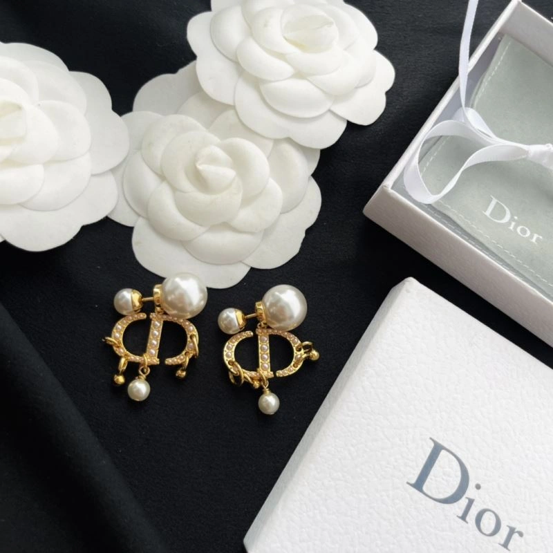 Durable Christian Dior Earrings 236321