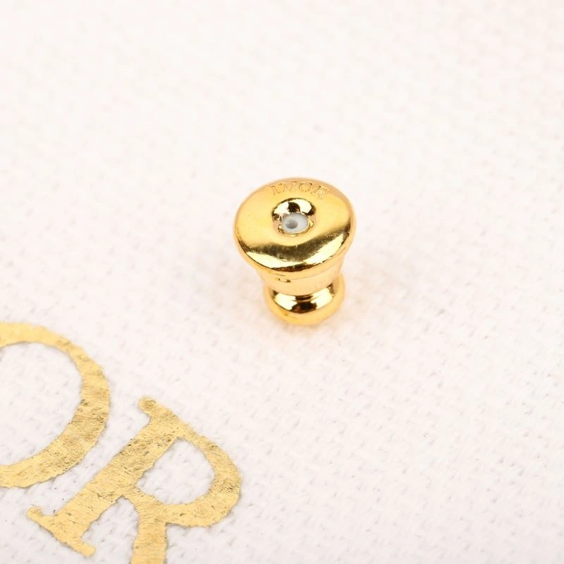 Christian Dior Earrings ModernLook 236316