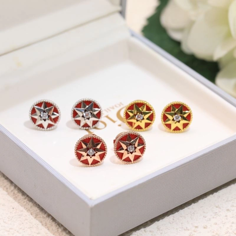 StreetReady Christian Dior Earrings 236306