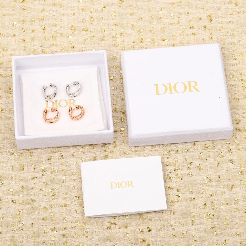 BestValue Christian Dior Earrings 236363