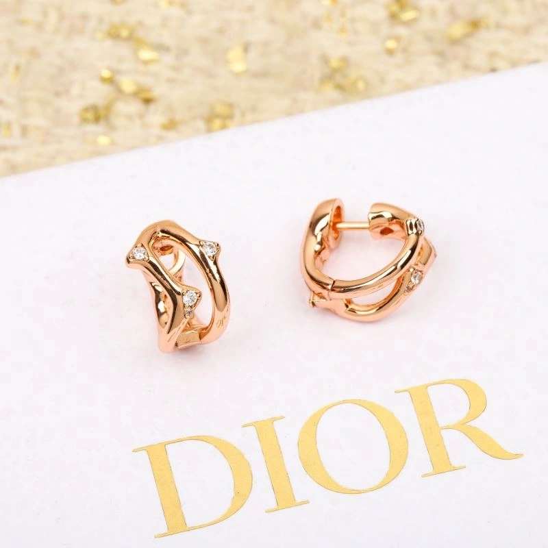 BestValue Christian Dior Earrings 236363