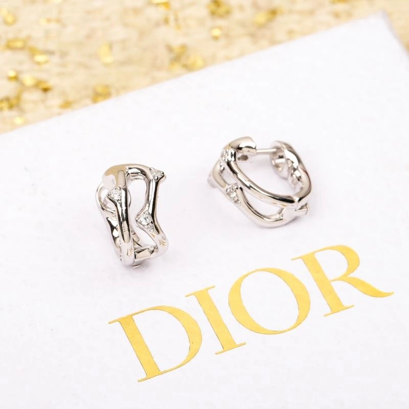 BestValue Christian Dior Earrings 236363