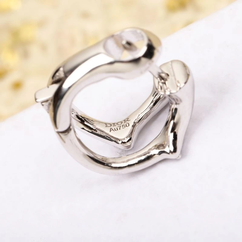 BestValue Christian Dior Earrings 236363