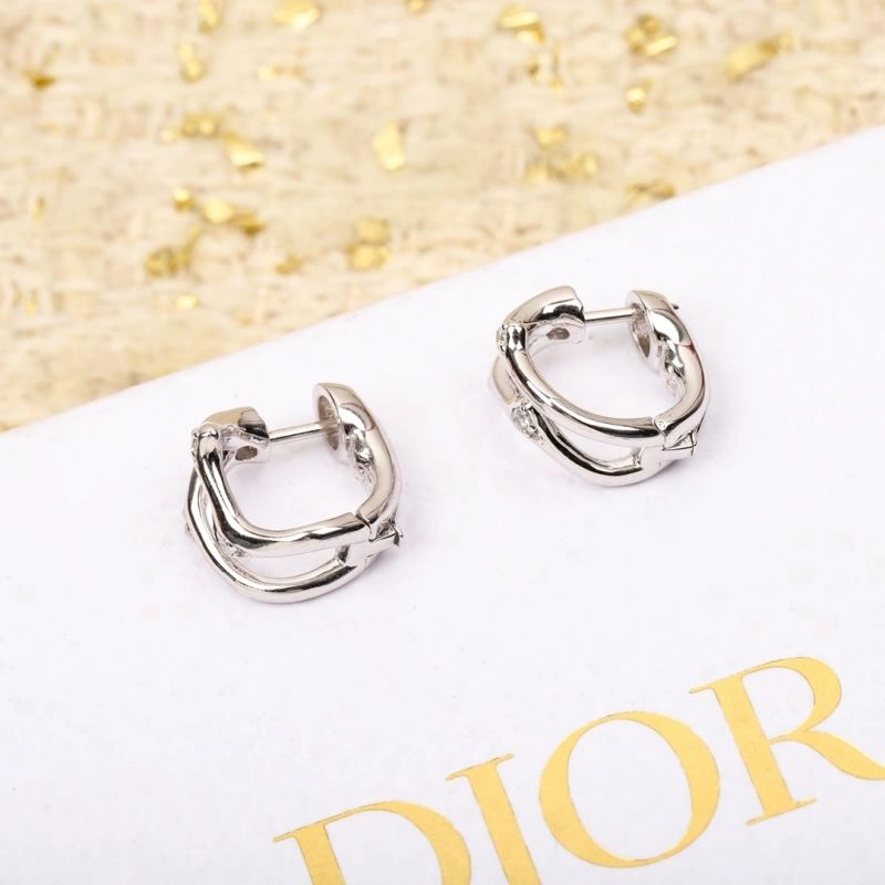 BestValue Christian Dior Earrings 236363