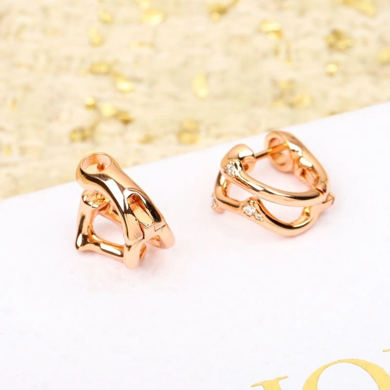 BestValue Christian Dior Earrings 236363