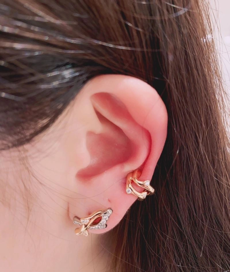 BestValue Christian Dior Earrings 236363