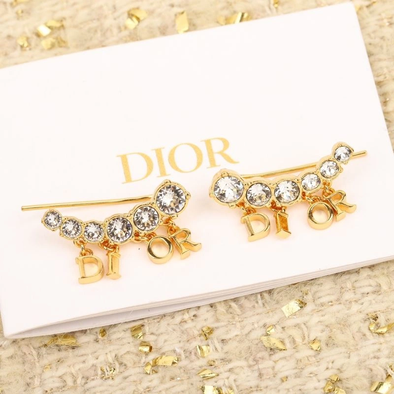 Christian Dior Earrings Durable 236291